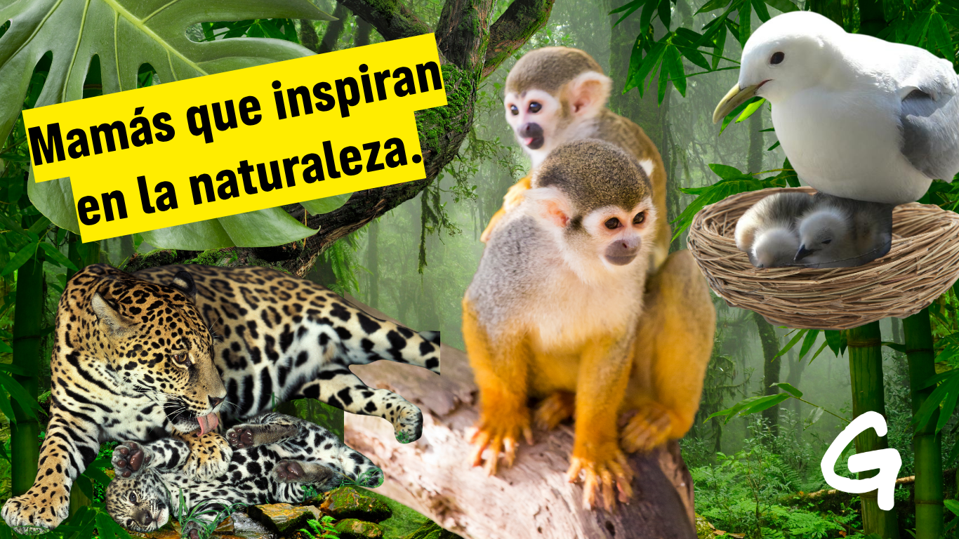 Madres que inspiran en la naturaleza.