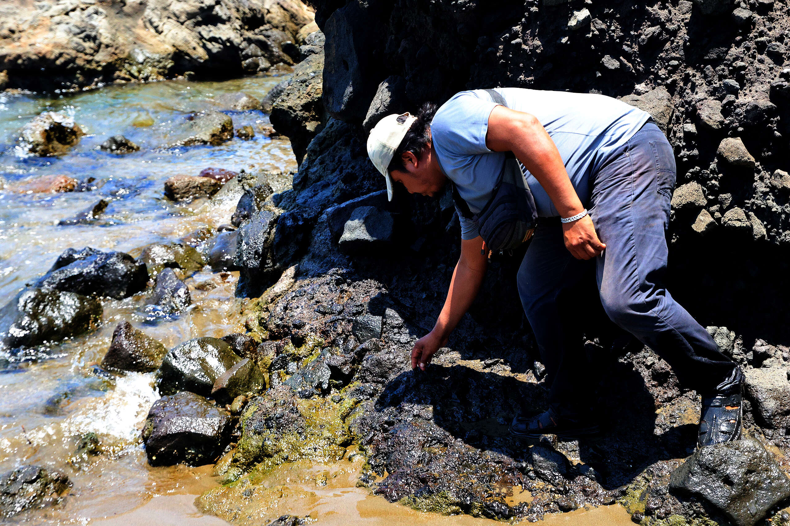 Greenpeace México interpone acciones legales a 4 meses del derrame en el Golfo de México