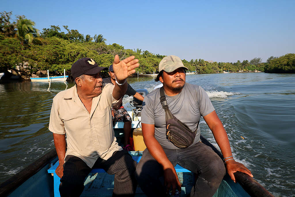 Emeterio  Martínez y Santos Martínez  nos dirigen a ver las consecuencias del derrame en Laguna  Ostión, Veracruz/ Jorge Serratos- Greenpeace México