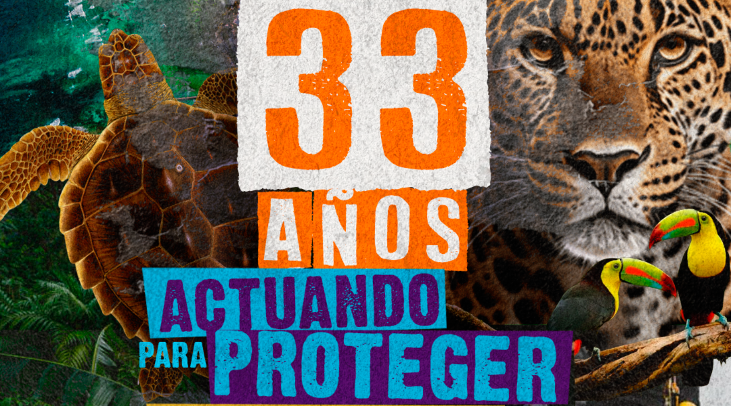 &iexcl;33 a&ntilde;os defendiendo el planeta!