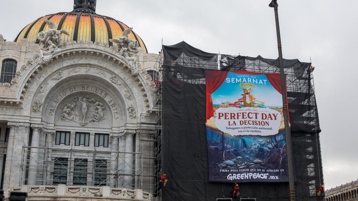 Activistas de Greenpeace M&eacute;xico despliegan manta en andamios de Bellas Artes, con un mensaje a la Semarnata: Perfect Day, la decisi&oacute;n. Toboganes o protecci&oacute;n ambiental, esa es la cuesti&oacute;n.