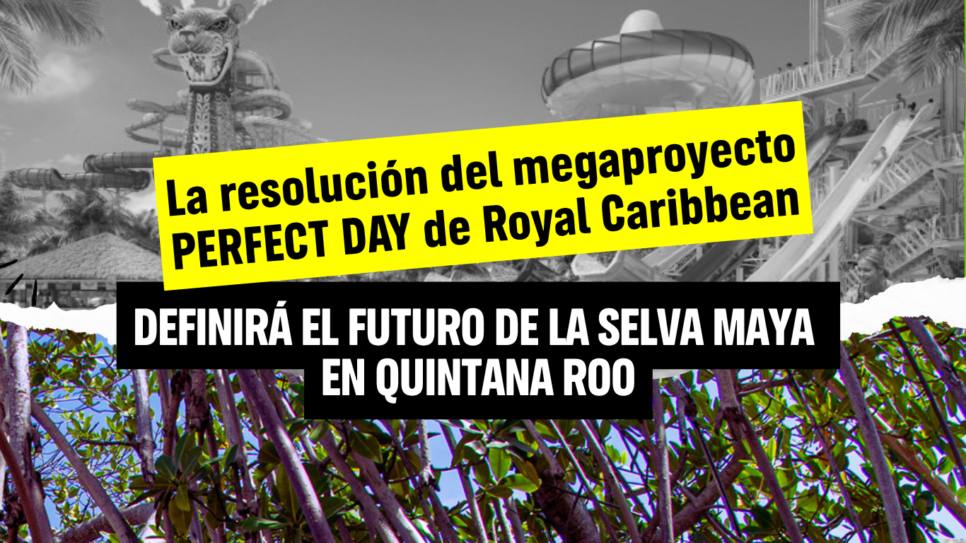 El Caribe mexicano en la cuerda floja: el caso Perfect Day en Mahahual.