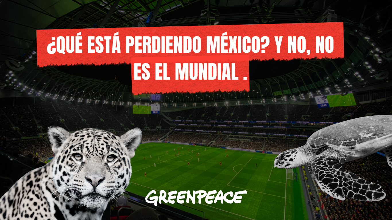 ¿Qué está perdiendo México? Y no, no es el Mundial .