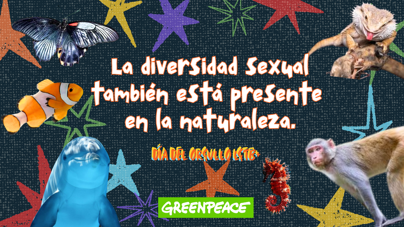 La diversidad sexual tambi&eacute;n est&aacute; presente en la naturaleza.