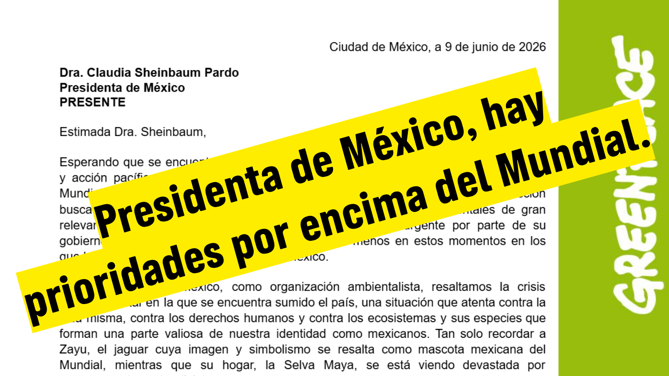 Presidenta de México, hay prioridades por encima del Mundial.