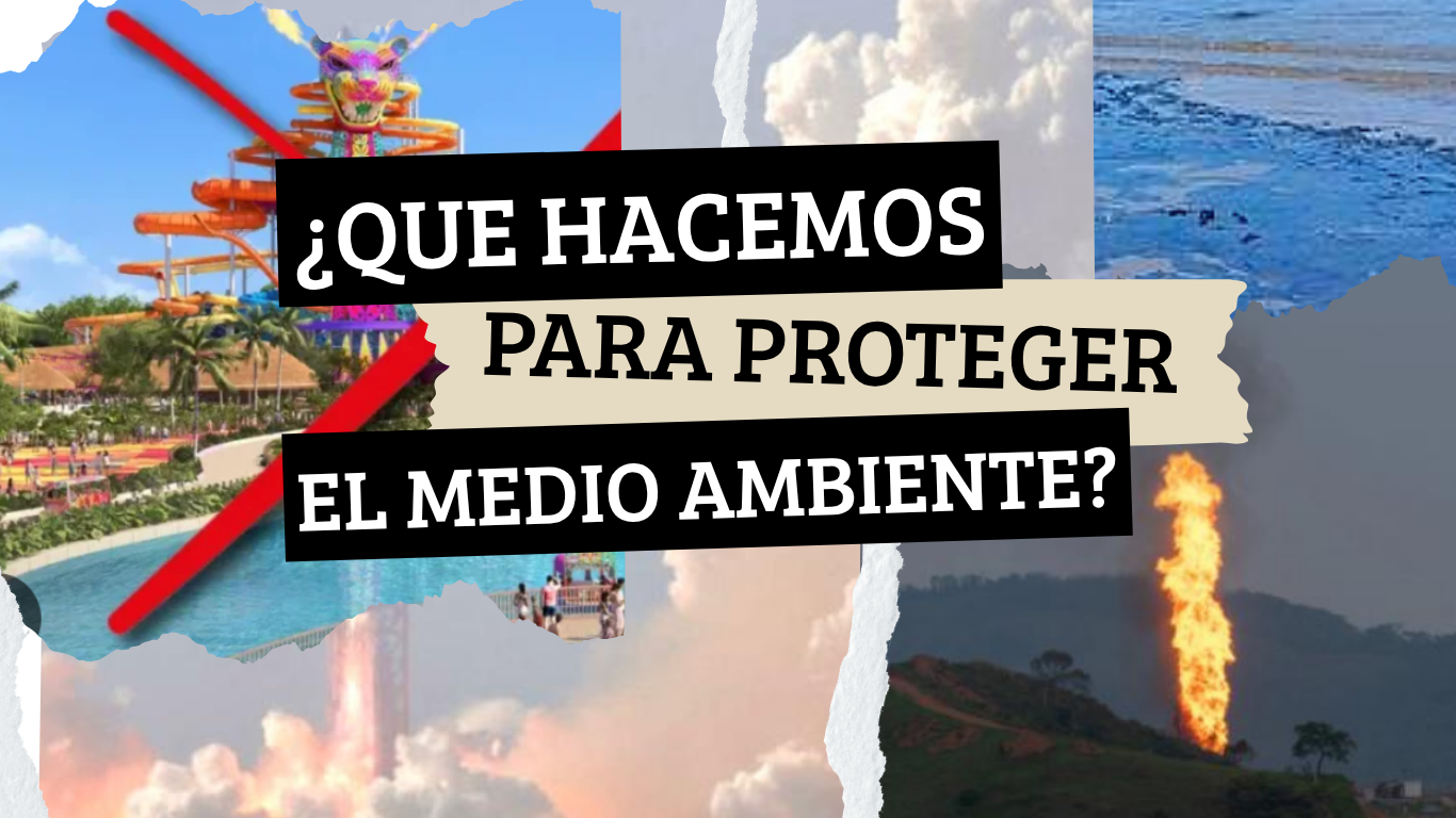 &iquest;Cu&aacute;les son los mayores problemas ambientales de la actualidad?