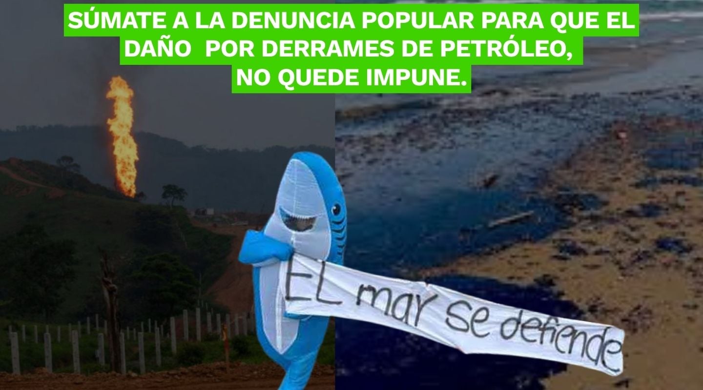¡El Golfo de México está en grave peligro, y tú puedes ayudar a protegerlo!