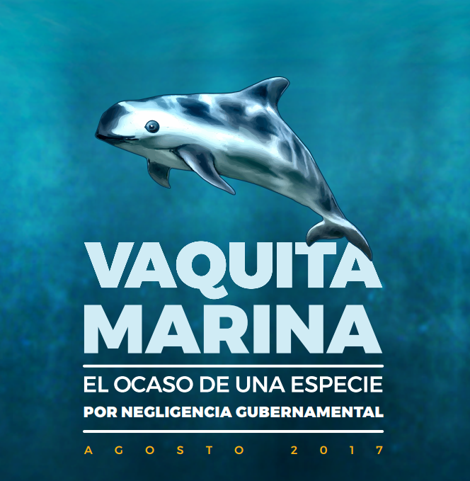 Captura de pantalla 2026-07-19 231241