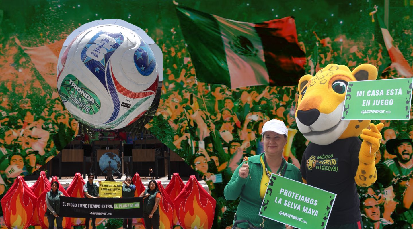 Terminó el Mundial, pero nos dejó esperanza y acción colectiva.