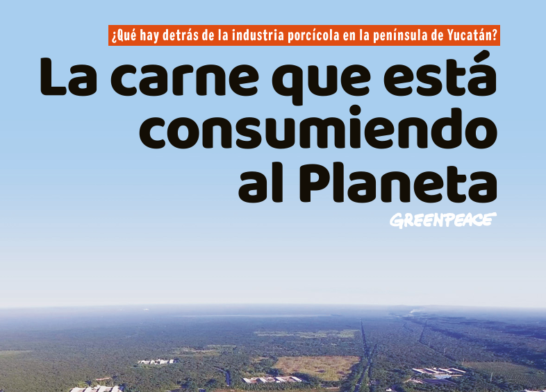 Captura de pantalla 2026-07-13 102825