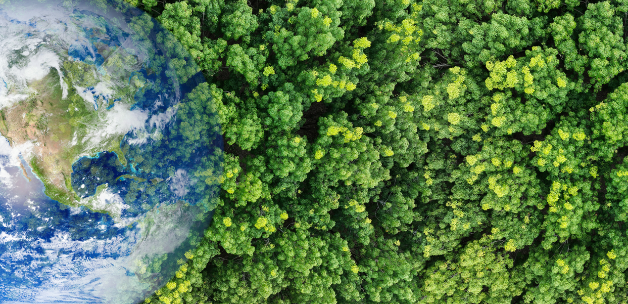 Día del sobregiro: no solo son recurso, son ecosistemas.
