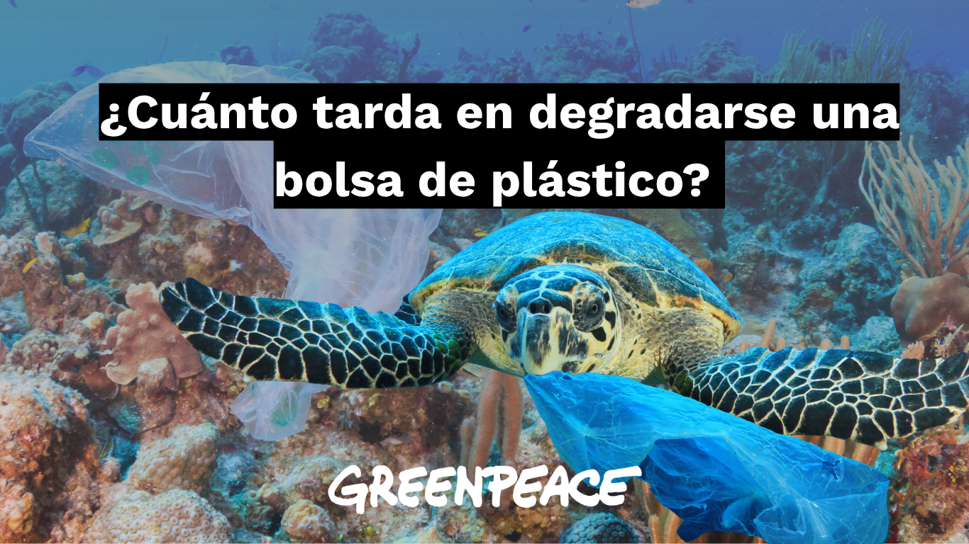 ¿Cuánto tarda en degradarse una bolsa de plástico?