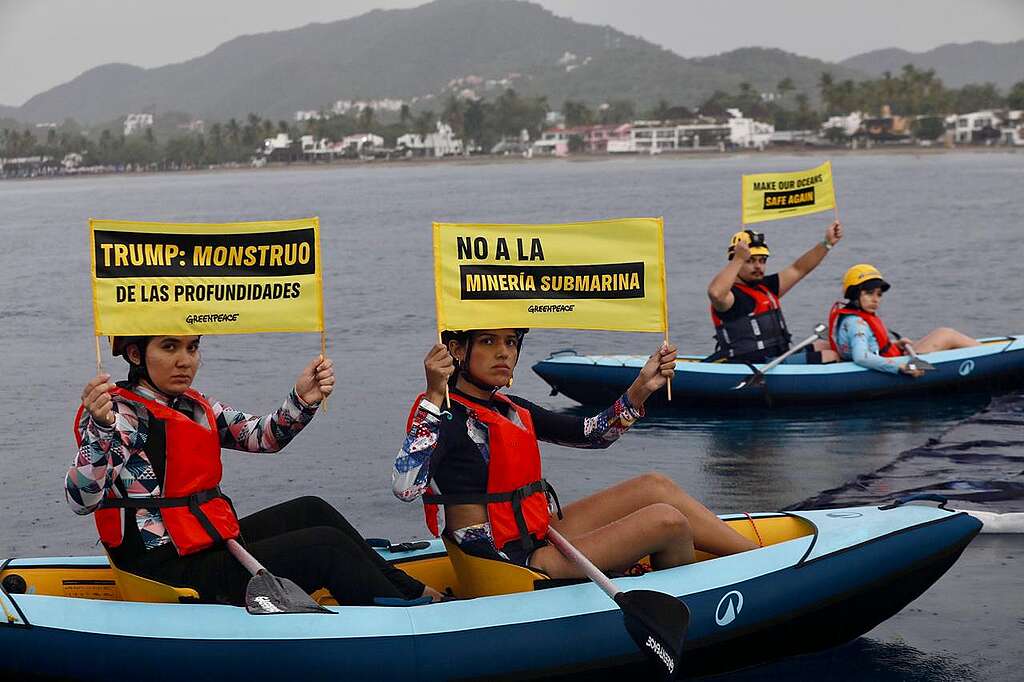Foto Greenpeace Manzanillo_011
