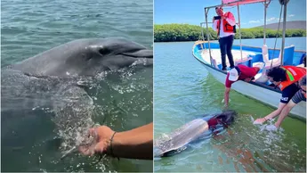 Pechocho y su hogar Topolobampo, está en riesgo.
