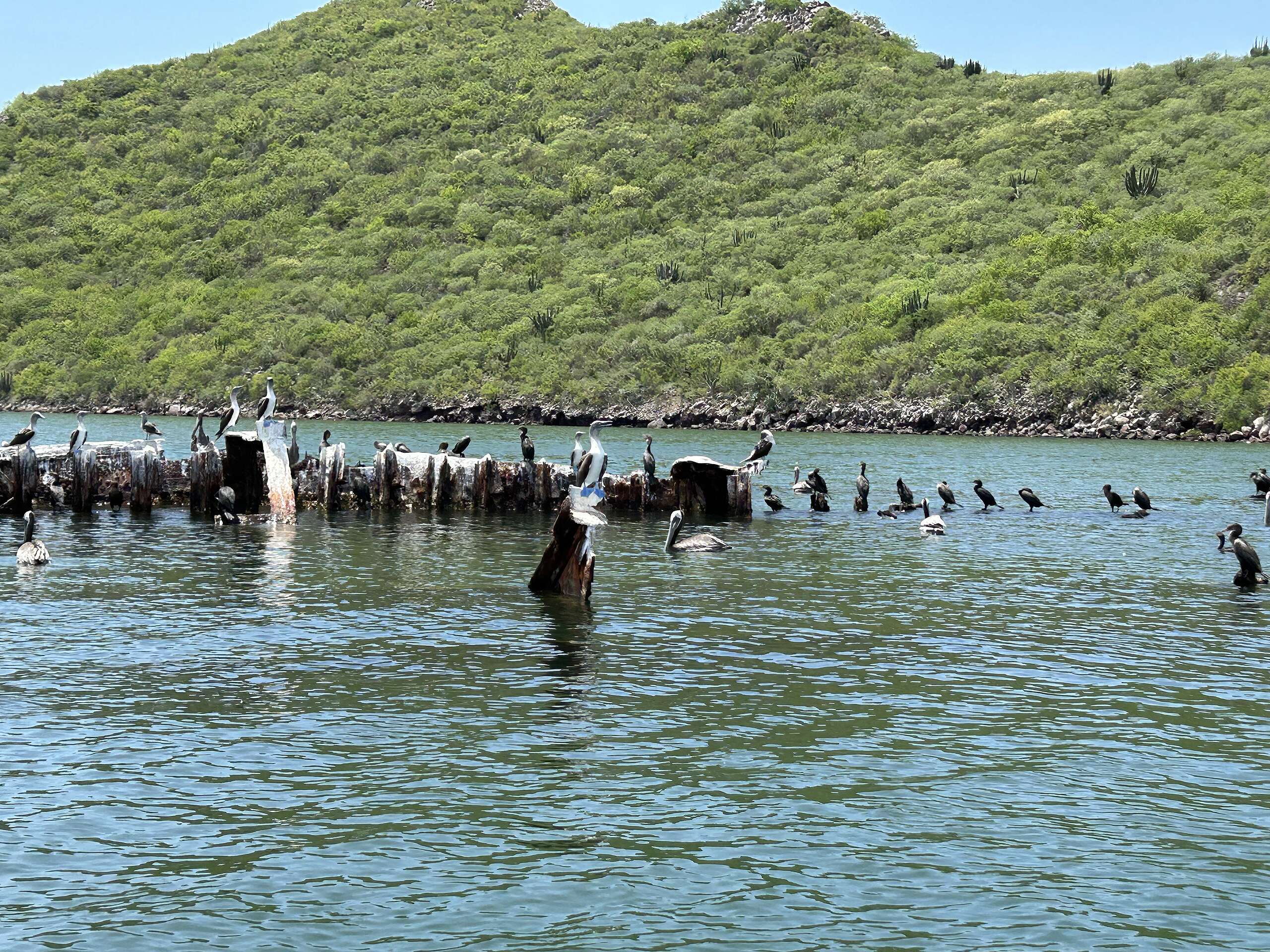 Bahía de Ohuira: un sitio Ramsar que hay que proteger.