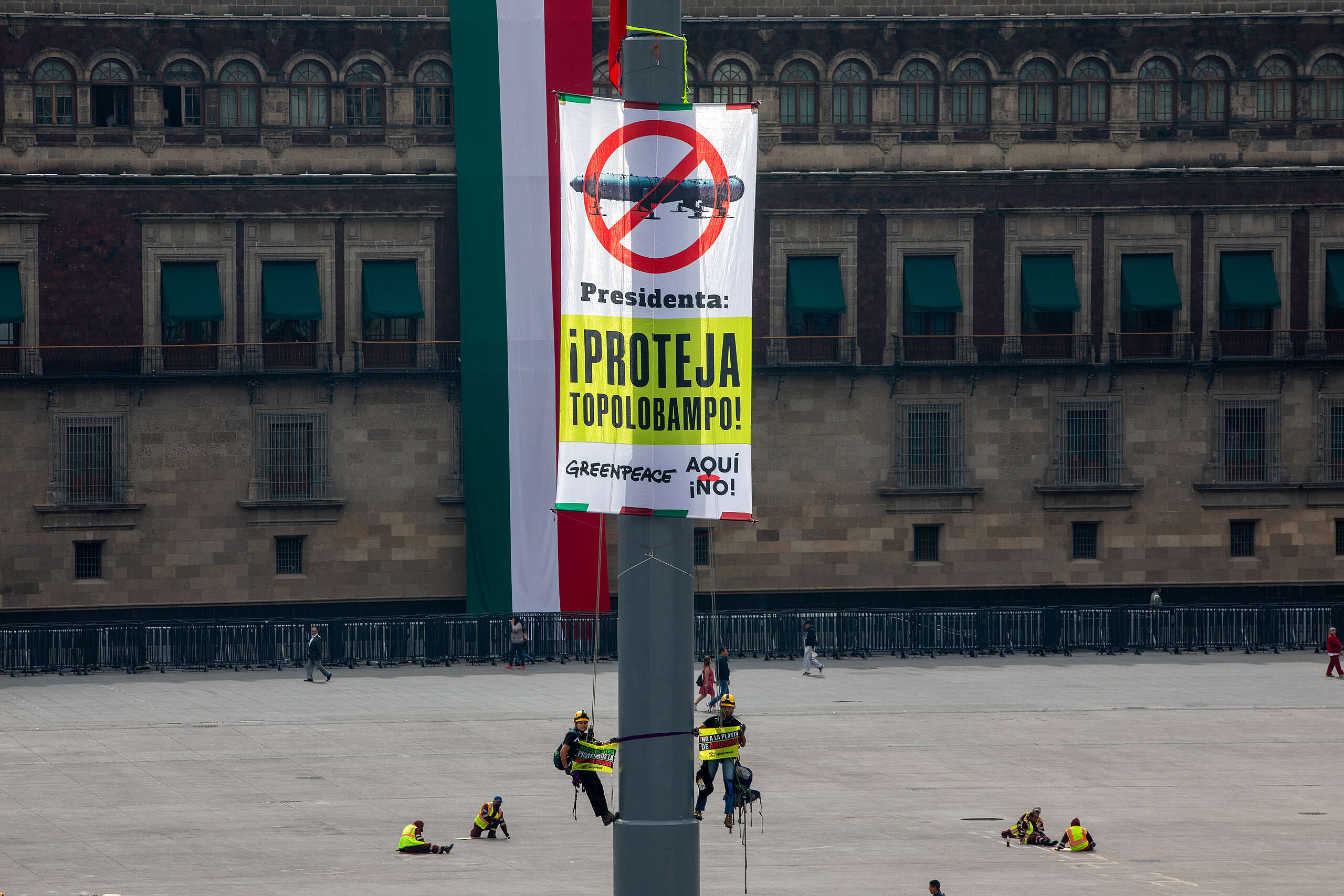 Greenpeace lanza un llamado a la Presidenta: ¡Proteja Topolobampo!