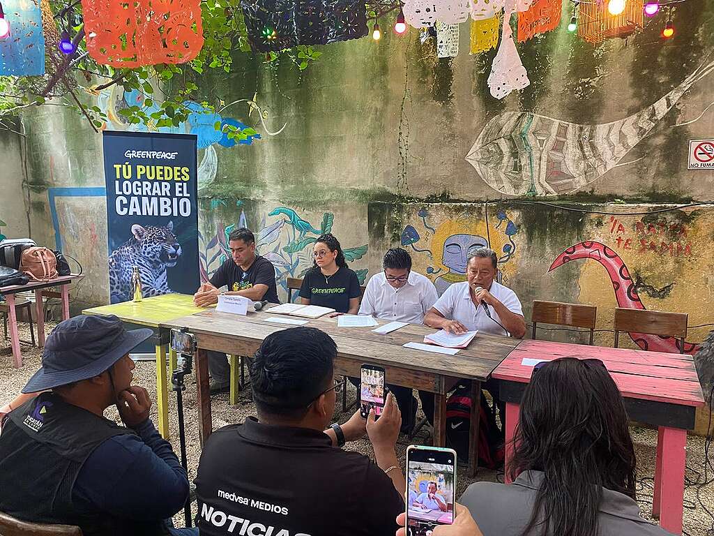 Conferencia de prensa Alerta Cenotes 2026