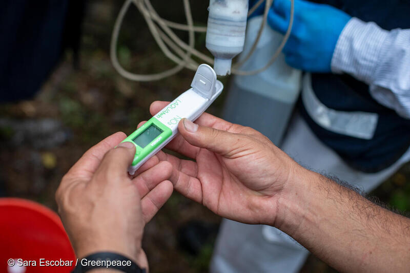 ¡Esto es lo que encontramos sobre la contaminación de los cenotes!