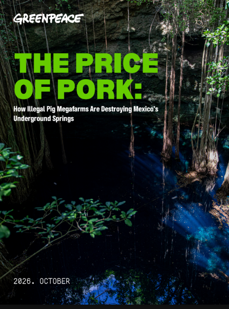 THE PRICE OF PORK 2026