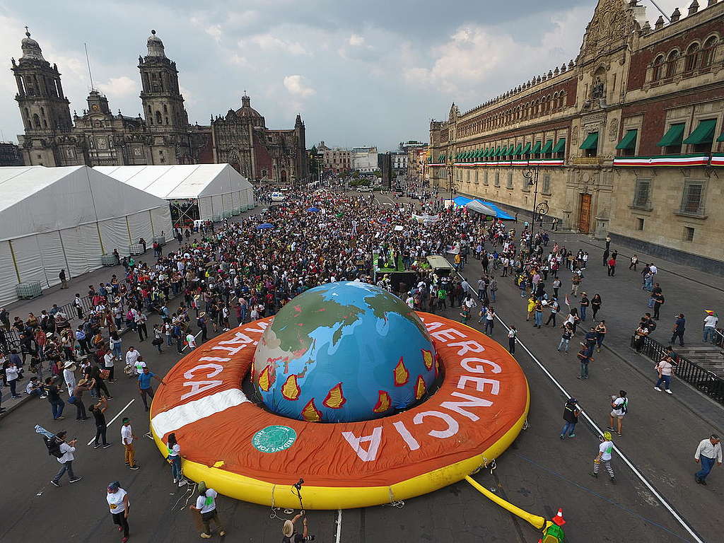 Una sociedad más informada respecto a los impactos ambientales de su consumo es más activa por un futuro ecológico. © Víctor Ceballos / Greenpeace.