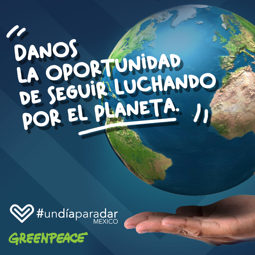 Únete a la iniciativa "Un día para dar" y dona a Greenpeace