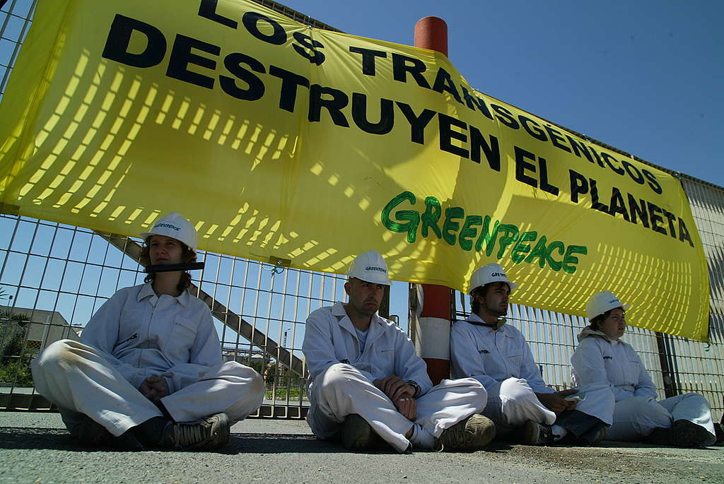 Activists Lock Themselves to Gate of Soya Processing Facility. © Greenpeace / Kate Davison Los transgénicos destruyen el planeta © Greenpeace / Kate Davison