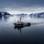 Greenpeace ship the Arctic Sunrise in front of Brede glacier in Viking bay, Scoresby Sund fjord, east coast of Greenland.