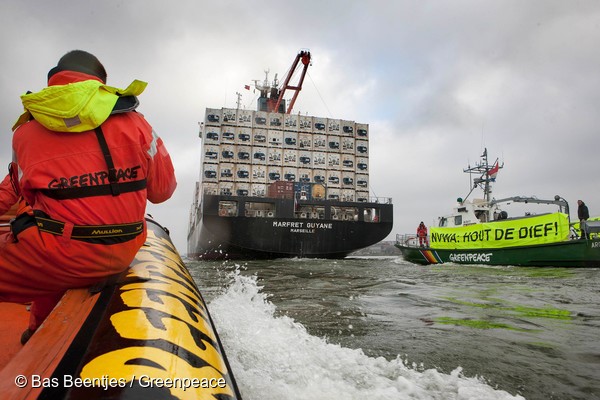 Netherlands, Rotterdam November 06 2014A ship carrying Amazon timber, purchased from a sawmill know for trading illegal wood, was today confronted by Greenpeace Netherlands activists as it approached Rotterdam. The timber onboard is destined for the Belg