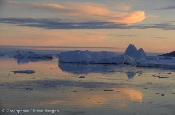 Icebergs melting in low sun