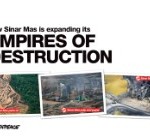 How Sinar Mas is expanding its empires of destruction