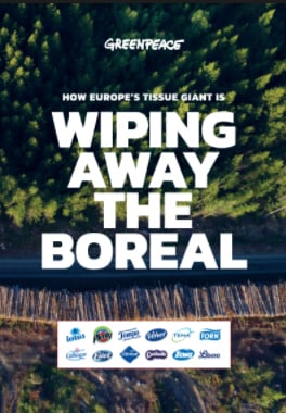 wiping away the boreal report front