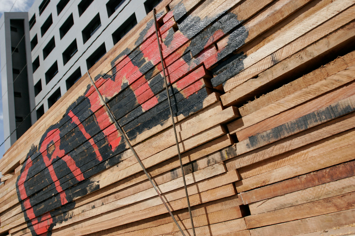 Forest Action on Illegal Timber in Brazil. © Greenpeace / Ricardo Beliel