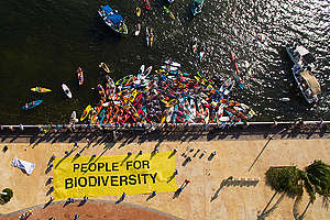 Global Paddle at CBD in Cancun.