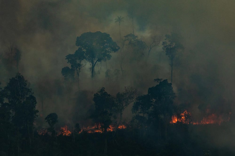 Bosbranden Amazone in 2019