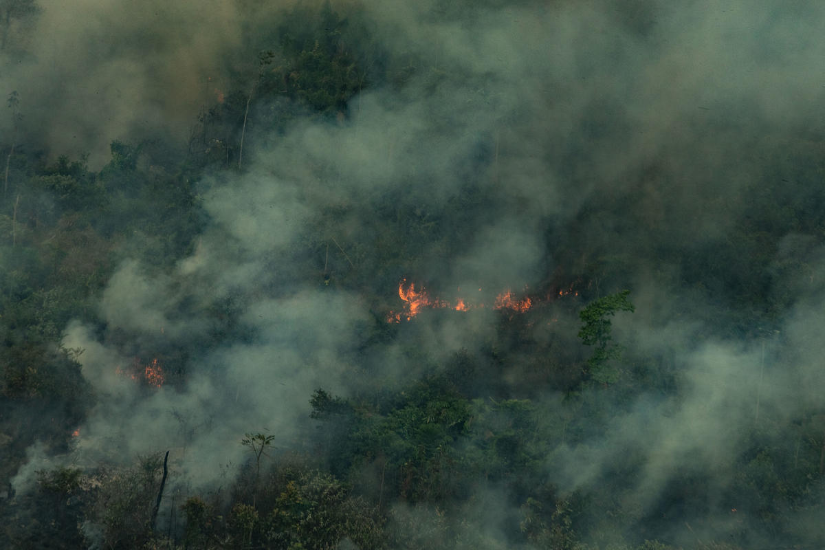 De Amazone staat in brand