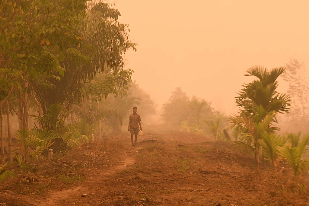 Sumatra, 21 september 2019