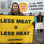 Greenpeace places a 66-meter banner with the text "Stop the pig factories" on the road at the construction of a new giant piggery. Local citizens and neighbours to the farm join the protest with signs.
Denmark has a new climate law with a historically strong greenhouse gas reduction target. Yet, to meet this target Danish agriculture must move away from industrial pig factories that are facilitating an increase rather than a reduction of animals. 
The barn is still under construction and is said by Landbrugsavisen to be Denmark's soon largest piggery with a capacity of 10,500 pigs, which will live on 9,500 m2.