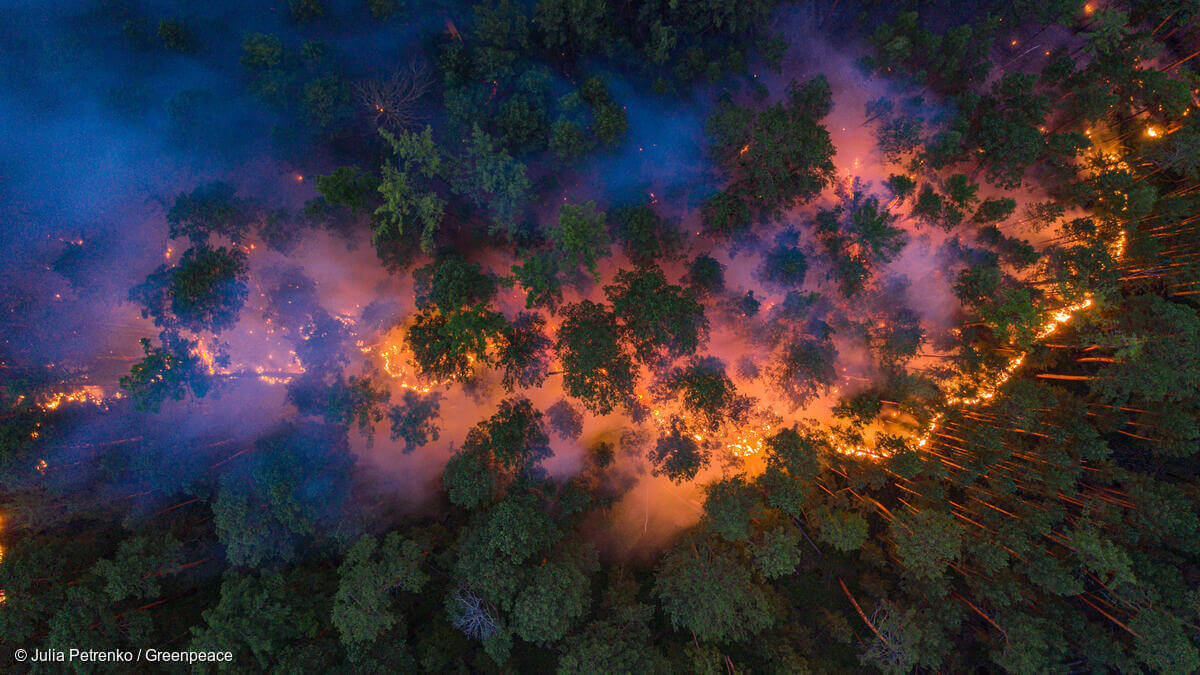 bosbranden in rusland