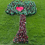 REACTIE GREENPEACE “FIT FOR 55” PAKKET
