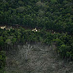Deforested area in the southeast boundaries next to Formoso River, just outside the Karipuna Indigenous Land, in nova Mamoré, Rondônia state.
The Karipuna People, Greenpeace and CIMI (Indigenist Missionary Council) monitored the Karipuna Indigenous Land, in Rondônia state, in September 2021, registering a 44% increase in deforestation between August 2020 and July 2021. Along with deforestation, cattle raising and soya production have also been increasing in the state, putting pressure on local Indigenous People and threatening their lands. Inside the Karipuna Land, new deforestation spots, bridges and machinery are proof of constant invasion and land-grabbing in the region.
Área desmatada no limite sudeste ao lado do Rio Formoso, fora da TI Karipuna, no município de Nova Mamoré, Rondônia.
Em um monitoramento feito pelo povo Karipuna, Greenpeace Brasil e pelo Conselho Indigenista Missionário (CIMI) na Terra Indígena Karipuna, em Rondônia, durante o segundo semestre de 2021, foi identificado um aumento de 44% no desmatamento no território entre agosto/2020 a julho/2021. Junto com o crescimento do desmatamento, a produção de carne e soja também vêm aumentando no estado, pressionando os povos indígenas da região e ameaçando a segurança de seus territórios. Dentro do território Karipuna, novos focos de desmatamento, pontes e maquinários revelam a invasão constante e grilagem da terra.