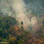 Fire in the Jaci-Paraná Extractive Reserve, in Porto Velho, Rondônia state.
One month after a presidential decree forbidding fires in the Amazon and Pantanal, Greenpeace flew over Amazonas and Rondônia states to verify how efficient the measure was. Even with the Fire Moratorium, we registered several live heat spots.
Every year, Greenpeace Brazil flies over the Amazon to monitor deforestation build up and forest fires. In August, 2020, flights were made over points with Deter (Real Time Deforestation Detection System) and fire warnings and Prodes (Brazilian Amazon Satellite Monitoring Project), made by Inpe (National Institute for Space Research), in Amazonas and Rondônia states.
Queimada na Reserva Extrativista Jaci-Paraná, em Porto Velho (RO).
Um mês após a publicação do decreto presidencial que proíbe as queimadas na Amazônia e no Pantanal, sobrevoamos os estados do Amazonas e Rondônia para verificar a eficiência da medida e, mesmo com a proibição, localizamos diversos focos de calor ativos. 
Todos os anos, o Greenpeace Brasil realiza uma série de sobrevoos de monitoramento para registrar o avanço do desmatamento e das queimadas na Amazônia. Em agosto de 2020, monitoramos pontos com alertas Deter e de pontos de calor e Prodes 2019, do Inpe.
