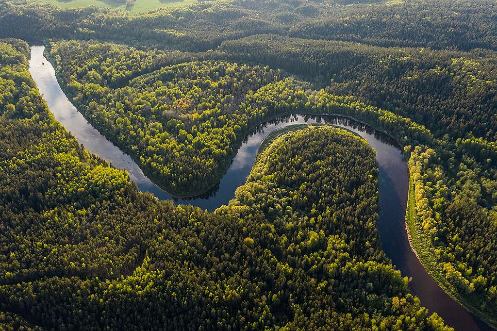 e wordt bedreigd door houtkap - Greenpeace Nederland