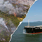 Greenpeace kondigt actie aan tegen soja-vrachtschip