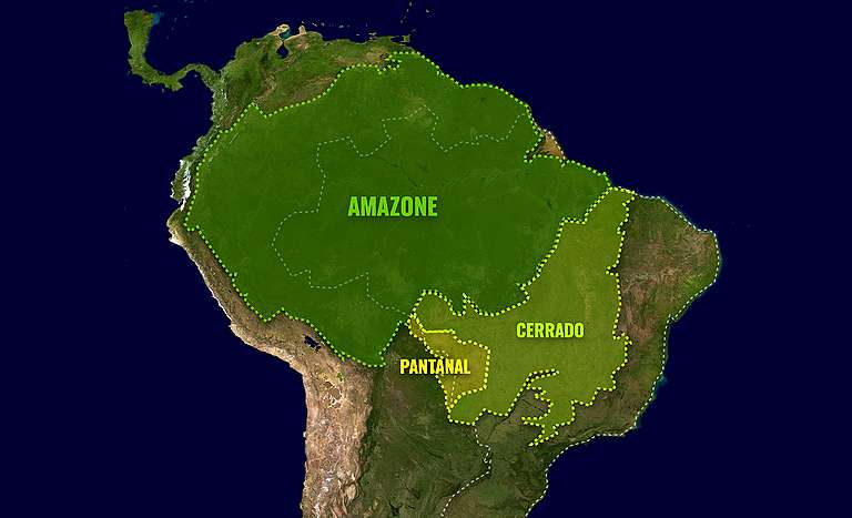 Ontbossing in Brazilië: gaat deze natuur verloren voor onze producten