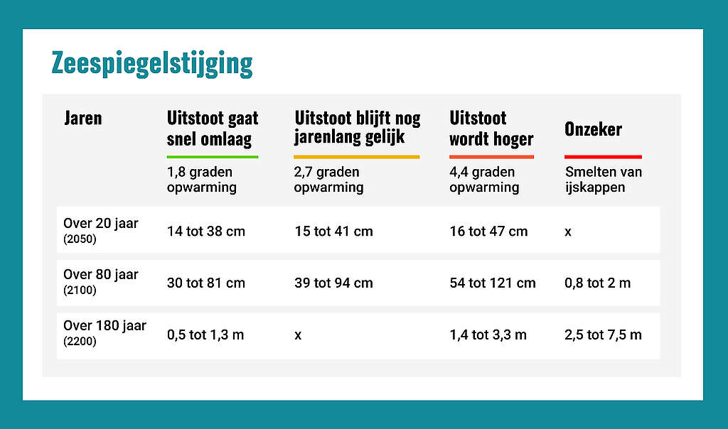 professioneel Nu Bedrijfsomschrijving Wat ga ik merken van de zeespiegelstijging? - Greenpeace Nederland -  Greenpeace Nederland