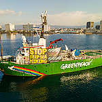 Bericht van de Greenpeace-vloot