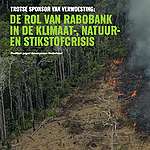 Position paper: de rol van Rabobank in de klimaat-, natuur-, en stikstofcrisis 