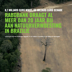 0,7 miljard euro winst, 66 miljard euro schade: Rabobank draagt al meer dan 20 jaar bij aan natuurverwoesting in Brazilië