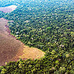 Aerial view of Congo's peatland forests from Kinshasa to Mbandaka, over the Mai-Ndombe area. Greenpeace is documenting ground-level research into satellite data on vast peatland areas recently discovered by scientists in the swamps of the Congo Basin rainforest, as well as affected communities and the natural environment. The most carbon-rich tropical region in the world is estimated to store the equivalent of three years’ worth of total global fossil fuel.