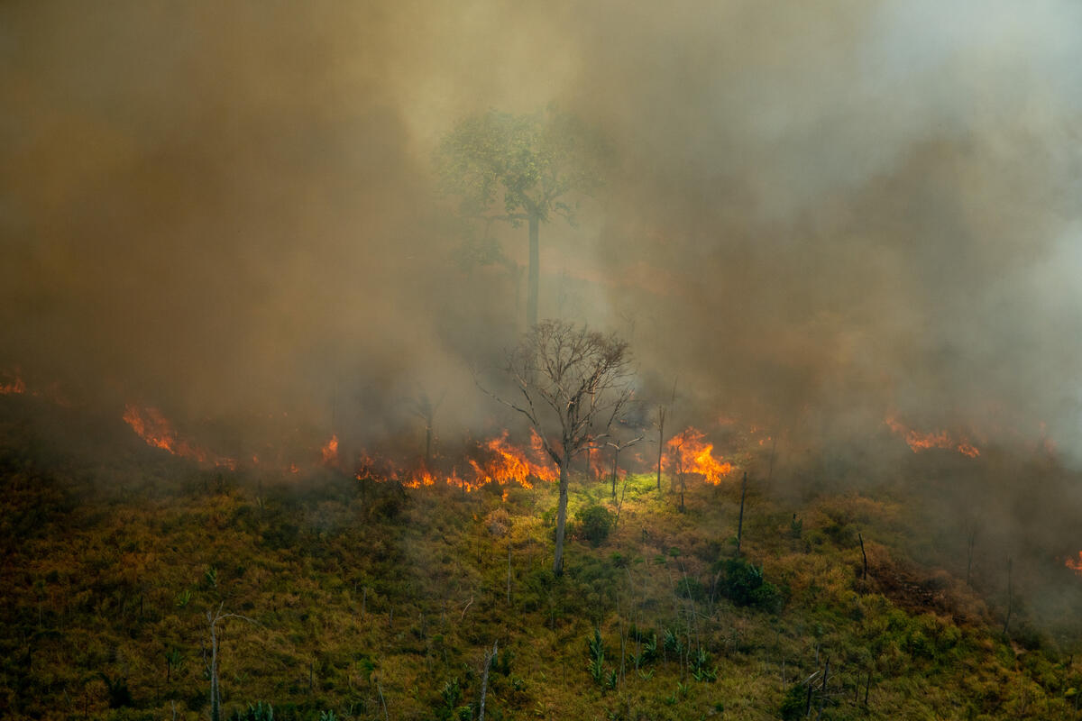 Fire Monitoring in the Amazon. © Christian Braga / Greenpeace